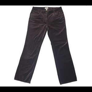 ANN TAYLOR LOFT size 6 MARISA brown pants